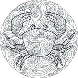 Color Me Patch - Adult
