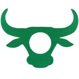 Libre 2 Bull Horns Patch