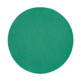 Circle With No Cutout